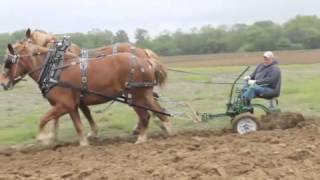 Horse plowing at Rohrer Farm [upl. by Huberty]