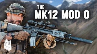 The Mk12 The Most Kills of Any Precision Rifle in the US Military [upl. by Eisen]