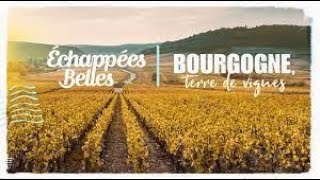 La Bourgogne terre de vignes  Échappées belles [upl. by Hgielrak140]