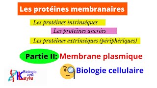 Les protéines ancrées et les protéines extrinsèques périphériques [upl. by Samson75]