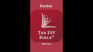 The ESV Audio Bible Exodus Chapter 2 [upl. by Alwin]