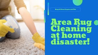 Area Rug Cleaning Service in South Miami Reviews Dont Like by Keep It Clean Carpets and Tile [upl. by Wincer523]