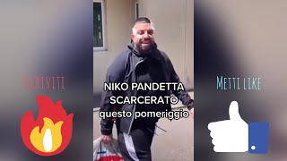 NIKO PANDETTA SCARCERATO QUESTO POMERIGGIO ECCO COSA È SUCCESSO NEL VIDEO VIRALE [upl. by Bliss743]