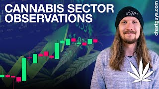 Cannabis Sector Observations [upl. by Susej]