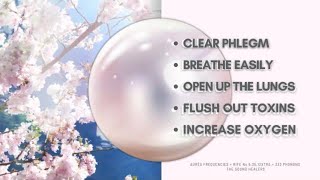 Breathe  Remove Toxins  Open Lungs  Lung Cleanse and Healing  Oxygenation Eliminate Infections [upl. by Annaerdna]