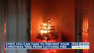 Steps you can take to prevent your Christmas tree from catching fire [upl. by Arodasi]