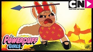 Die Powerpuff Girls  Mojo Jojo gegen die Alten  Cartoon Network [upl. by Alisa]