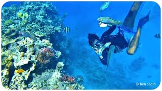 Red Sea Snorkeling  Hurghada Egypt [upl. by Tabatha]