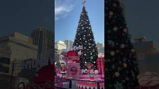 Happy Yuletide Season  2024  Central World Bangkok Thailand travel thailand youtubeshorts [upl. by Nnaeirual]