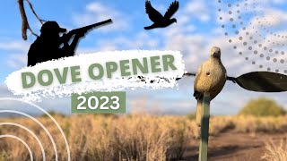 Dove Hunting 2023 Unforgettable Arizona Adventure [upl. by Gery]