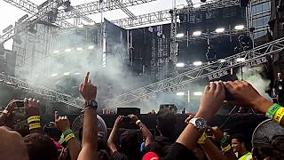 David Guetta Live from Sunburn Arena Mumbai 2017 [upl. by Jaal235]