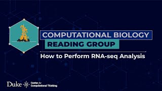 How to Perform RNAseq Analysis [upl. by Wobniar890]