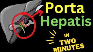 Porta Hepatis  IN TWO MINUTES [upl. by Ahsinat]