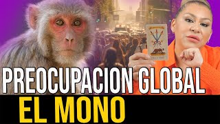 ALERTA MUNDIAL POR EL MONO ESTOS PAISES SE VERAN AFECTADOS [upl. by Yht606]