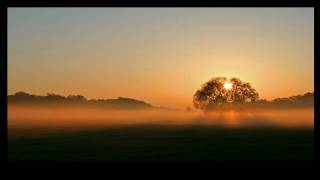 Ludovico Einaudi  Stella del mattino [upl. by Inanuah]