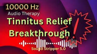 Tinnitus Relief Made Easy With This Innovative Tinnitus Sound Therapy❗ [upl. by Anihta]