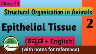 Class 11  Structural Organisation in Animals  02  Epithelial Tissue [upl. by Madelena51]