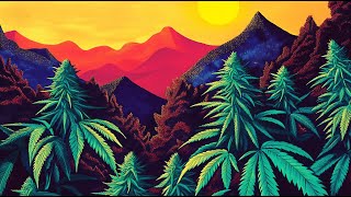 🌿Cannabis Vibes  Psy Dub Mix PsyChill Dub  Psy Dub Ambient [upl. by Mosra659]