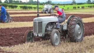 Ferguson TE20  The Wee Grey FergiePloughing in SW Scotland [upl. by Clyve]