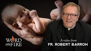 Bishop Barron on Being Born Again [upl. by Ert]