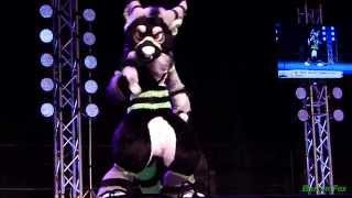 Anthrocon 2014  Fursuit Dance Competition  Tayerr [upl. by Oliana]