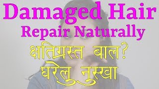 How to Repair Damaged Hair at Home Hindi [upl. by Aivatahs]