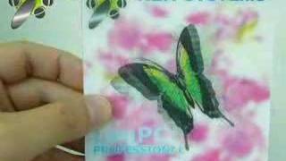 Amazing Lenticular Animation of Butterfly [upl. by Morris]