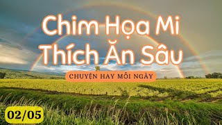 CHUYỆN HAY MỖI NGÀY  0205  CHIM HỌA MI THÍCH ĂN SÂU [upl. by Anelhtac665]