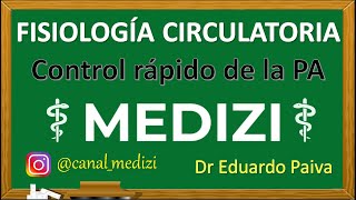 Clase 28 Fisiología Circulatoria  Regulación nerviosa y control rápido de la PA IGdoctorpaiva [upl. by Cicely]