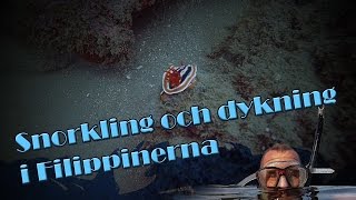 Dykning och snorkling i Filippinerna [upl. by Animrelliug]