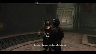 The Elder Scrolls V  Skyrim MODS  Serana meets Inigo for the first time [upl. by Oibesue]