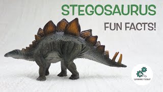 STEGOSAURUS FACTS  Fun amp Educational  Dinosaurs For Kids  Best Dinosaur Facts [upl. by Alduino]