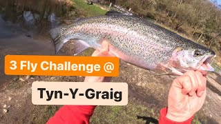 UK Stillwater Trout Fishing at TynYGraig Crynant Fishery [upl. by Nraa]