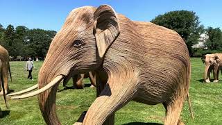 The Great Elephant Migration at Rough Point mansion in Newport RI [upl. by Alston]