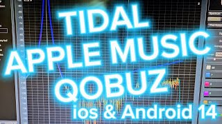 Best Lossless Streaming Tidal Qobuz and Apple Music [upl. by Yursa]