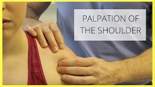 Shoulder Palpation [upl. by Guild]