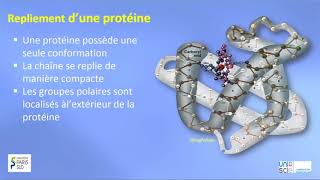 TRILOGIQUE Semaine 3 Vidéo 5 Structure tertiaire et quaternaire des protéines [upl. by Krik432]