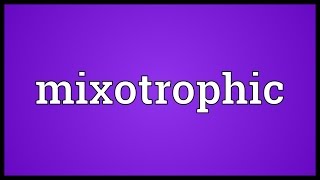 Mixotrophic Meaning [upl. by Annasor]