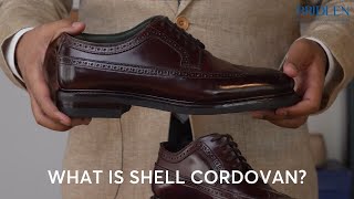 What is Shell Cordovan [upl. by Thalassa945]