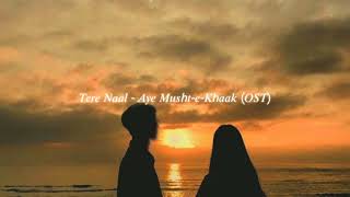 tere naal  aye mushtekhaak ost slowed  reverb [upl. by Oniskey]