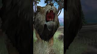 Lions Roaring Lion Roar sound effect  lion sounds  lion [upl. by Cazzie]