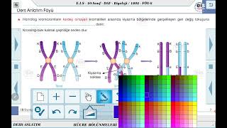 10 Sınıf Biyoloji  Hücre Bölünmeleri  6 🔬 [upl. by Jemie]