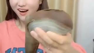 Extreme weird geoduck mukbang with slapping and dipping [upl. by Marnia]