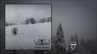 Waldschrat  NostalgieResonanz Full Album Stream  Talheim Records [upl. by Anazus]