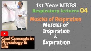 4 Muscles of Respiration  Muscle of Inspiration amp Expiration 1st Year MBBS [upl. by Aihsiyt]