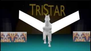 TriStar Pictures Logo 1993 with Sony Pictures Entertainment byline [upl. by Nibbor]