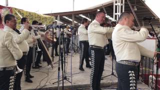 Fiesta en Jalisco  Mariachi Vargas de Tecalitlán 05 de febrero 2017 Lienzo Charro Hermanos Ramírez [upl. by Penhall]