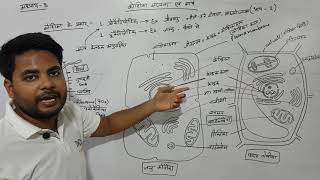 अध्याय8 कोशिका संरचना एवं कार्य भाग 2 कक्षा 11 जीवविज्ञान  chapter 8 cell structure [upl. by Evadne399]