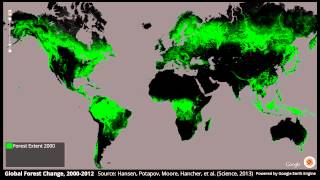 Global Forest Change 20002012 [upl. by Sucam]