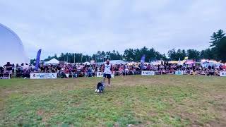 Hopkinton Fair Dog Frisbee Show 2024 [upl. by Attennaej912]